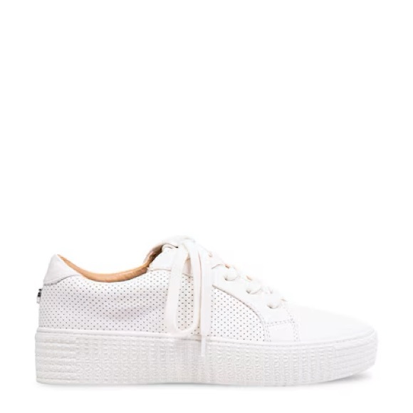 Steven Madden Toliver Sneakers - 8 - Picture 11 of 12